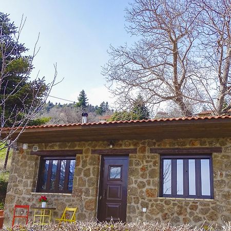 Γήλοφος Villa Ano Trikala Eksteriør billede