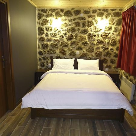 Γήλοφος Villa Ano Trikala Eksteriør billede