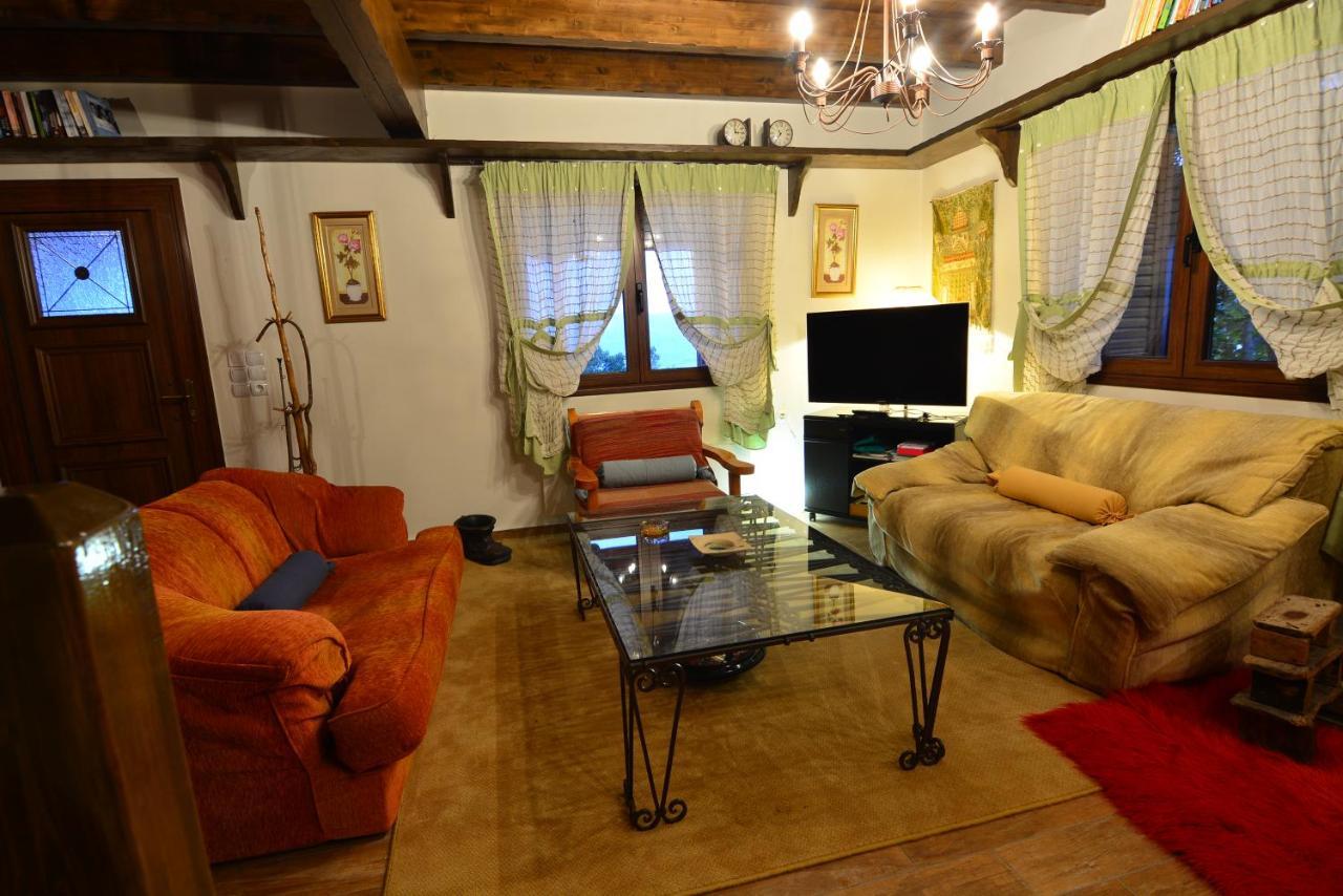 Γήλοφος Villa Ano Trikala Eksteriør billede